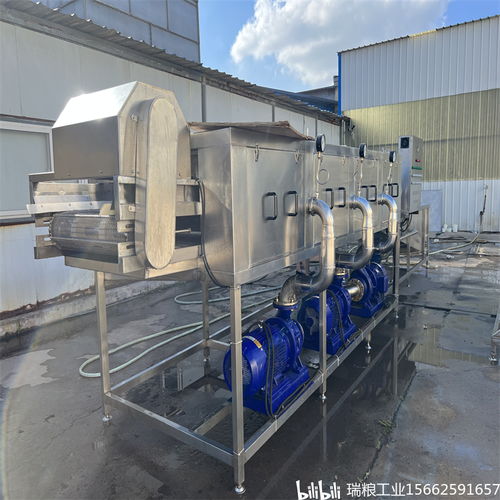 一站式解決大姜生產(chǎn)難題 選擇瑞糧食品工業(yè)裝備大姜清洗機(jī)與建筑節(jié)能系統(tǒng)設(shè)備